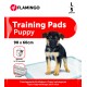 Flamingo Training pad Pady White - Хигиенни подложки - размер L 90х60 см, 5 броя в пакет, Белгия - 1031320 Flamingo Training pad Pady White - Хигиенни подложки - размер L 90х60 см, 5 броя в пакет, Белгия - 1031320