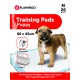Flamingo Training pad Pady White - Хигиенни подложки - размер M 60х45 см, 20 броя в пакет, Белгия - 1031322 Flamingo Training pad Pady White - Хигиенни подложки - размер M 60х45 см, 20 броя в пакет, Белгия - 1031322