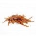 Duvo CHICKEN STRIPS лакомство меки лентички чисто пиле 80 гр, Белгия - 11951 Duvo CHICKEN STRIPS лакомство меки лентички чисто пиле 80 гр, Белгия - 11951