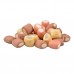 Duvo BISCUITS MINI-MAROWBONES MIX бисквити за кучета 2 кг, Белгия - 12131 Duvo BISCUITS MINI-MAROWBONES MIX бисквити за кучета 2 кг, Белгия - 12131