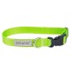 AMIPLAY collar SAMBA - нашийник за куче - ЗЕЛЕН, размер S - 20-35 х 2 см - Полша - 278332 AMIPLAY collar SAMBA - нашийник за куче - ЗЕЛЕН, размер S - 20-35 х 2 см - Полша - 278332