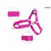 AMIPLAY EASY GO SAMBA harness - нагръдник за куче - РОЗОВ, размер M - 40-60 х 2 см - Полша - 278820