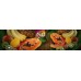 MONGE FRUIT Paté And Chunkies With Chicken and Raspberry - пастет и хапки за куче с ПИЛЕ и МАЛИНИ 100 гр, Италия - 3215