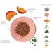 AMANOVA DOG POUCH P06 TASTY SALMON TURKEY - пауч за пораснали кучета от всички породи, със Сьомга и пуешко - 100 гр, Испания - 33506