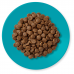 Applaws Adult Ocean Fish with Salmon GRAIN FREE - храна за котки над 1 година с 50% океански риби и сьомга 6 кг 4077