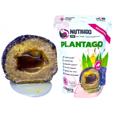 Nutrigo Plantago Syrup - Функционални бонбони с течен пълнеж, поддържа имунитета и дихателното здраве на кучетата - 75 гр 7777026 Nutrigo Plantago Syrup - Функционални бонбони с течен пълнеж, поддържа имунитета и дихателното здраве на кучетата - 75 гр 7777026
