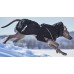 Hurtta Extreme Warmer III ECO jacket - топло зимно яке, гръб 45 см - черен 934595 Hurtta Extreme Warmer III ECO jacket - топло зимно яке, гръб 45 см - черен 934595