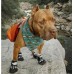 Alcott Adventure Boots - кучешки ботушки, черни със светлоотразителни детайли, размер M, дължина на стъпалото 7 см APLMD