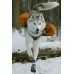 Alcott Adventure Boots - кучешки ботушки, черни със светлоотразителни детайли, размер M, дължина на стъпалото 7 см APLMD