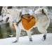 Alcott Adventure Boots - кучешки ботушки, черни със светлоотразителни детайли, размер M, дължина на стъпалото 7 см APLMD