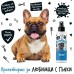Bugalugs Wrinkle Spray for Dogs, Cats Почистващ Спрей за Кожни Гънки 200 мл - Англия - BCWRKSPY200 Bugalugs Wrinkle Spray for Dogs, Cats Почистващ Спрей за Кожни Гънки 200 мл - Англия - BCWRKSPY200