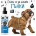 Bugalugs Wrinkle Spray for Dogs, Cats Почистващ Спрей за Кожни Гънки 200 мл - Англия - BCWRKSPY200 Bugalugs Wrinkle Spray for Dogs, Cats Почистващ Спрей за Кожни Гънки 200 мл - Англия - BCWRKSPY200