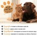 Bugalugs Oatmeal No-Rinse Paw Cleaner - Пяна за почистване на лапи с овес и четка без изплакване 200 мл - Англия - BPCLCL200 Bugalugs Oatmeal No-Rinse Paw Cleaner - Пяна за почистване на лапи с овес и четка без изплакване 200 мл - Англия - BPCLCL200