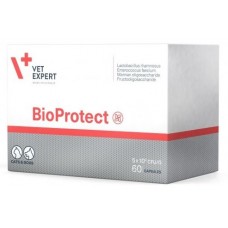 BioProtect – хранителна добавка за кучета и котки, за възстановяване на нормалната микрофлора на храносмилателния канал, 60 капсули, Vet Expert - Полша