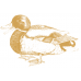 Essential The Little Lion - пълноценна храна за котки от 2 до 12 месечна възраст 3 кг - Англия ESS65964