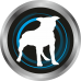 Game Dog Cardio Protect - хранителна добавка за кучета, подпомагаща правилното функциониране на сърцето и кръвоносната система, 60 таблетки, Полша Game Dog Cardio Protect - хранителна добавка за кучета, подпомагаща правилното функциониране на сърцето и кръвоносната система, 60 таблетки, Полша
