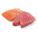 N&D Ocean Cat Tuna and Salmon ADULT GRAIN FREE - консерва за котки в зряла възраст над 1 година, с риба тон и сьомга, БЕЗ ЗЪРНО, 70 гр Италия PND070143