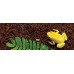 Exo Terra PLANTATION SOIL - BRICK / TROPICAL TERRARIUM SUBSTRATE - кокосова постелка - 8,8 литра, ГЕРМАНИЯ - PT2770 Exo Terra PLANTATION SOIL - BRICK / TROPICAL TERRARIUM SUBSTRATE - кокосова постелка - 8,8 литра, ГЕРМАНИЯ - PT2770
