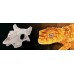 Exo Terra BUFFALO SKULL - SECURE HIDING PLACE, скривалище и декорация, 13 x 10 x 6 cm - ГЕРМАНИЯ - PT2925 Exo Terra BUFFALO SKULL - SECURE HIDING PLACE, скривалище и декорация, 13 x 10 x 6 cm - ГЕРМАНИЯ - PT2925