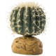 Exo Terra DESERT GROUND PLANTS, Barrel Cactus - Small - пустинни растения, 7,62 x 7,62 x 10,16 cm, Германия - PT2980 Exo Terra DESERT GROUND PLANTS, Barrel Cactus - Small - пустинни растения, 7,62 x 7,62 x 10,16 cm, Германия - PT2980