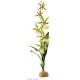 Exo Terra RAINFOREST GROUND PLANTS, Spider Orchid - растения от дъждовната гора, 8 x 13 x 43 cm, Германия - PT2991 Exo Terra RAINFOREST GROUND PLANTS, Spider Orchid - растения от дъждовната гора, 8 x 13 x 43 cm, Германия - PT2991