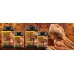 Exo Terra SOFT PELLETS - BEARDED DRAGON - Juvenile - храна за подрастващи агами, меки гранули - 250 g - ГЕРМАНИЯ - PT3230