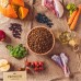POKUSA Premium Selection Countryside - храна за подрастващи кученца от всички породи, хипоалергенна формула, без зърно, с агнешко и патешко, 3 кг - Полша POKUSA Premium Selection Countryside - храна за подрастващи кученца от всички породи, хипоалергенна формула, без зърно, с агнешко и патешко, 3 кг - Полша