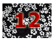 плат нашийник 12 / fabric collar 12