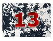 плат нашийник 13 / fabric collar 13