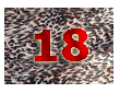 плат нашийник 18 / fabric collar 18