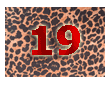 плат нашийник 19 / fabric collar 19