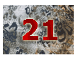 плат нашийник 21 / fabric collar 21
