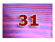 плат нашийник 31 / fabric collar 31