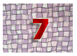 плат нашийник 7 / fabric collar 7